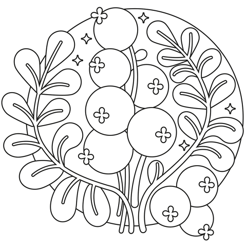 Cranberry Coloring Page