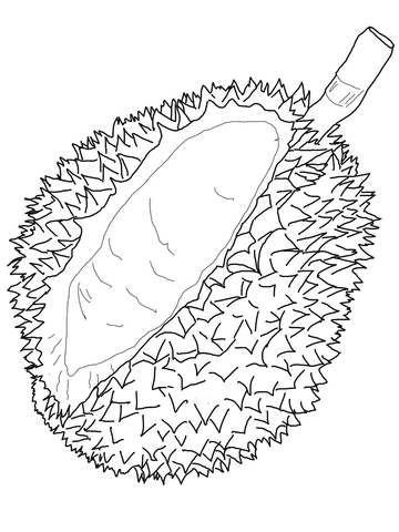 Durian Coloring Page