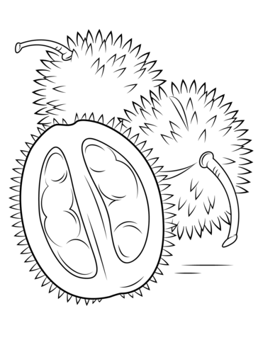 Durians Coloring Page