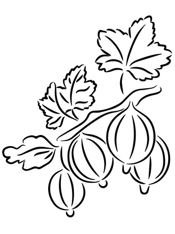 Gooseberries Coloring Page