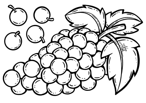 Grape Coloring Page