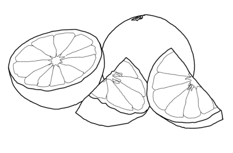 Grapefruit Coloring Page