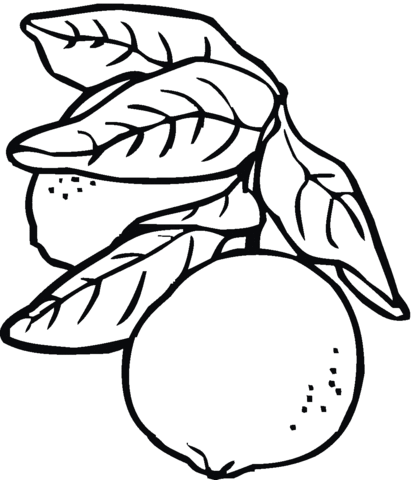 Lemon Coloring Page