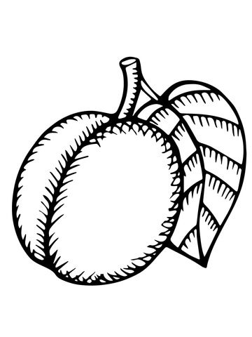 Nectarine Coloring Page