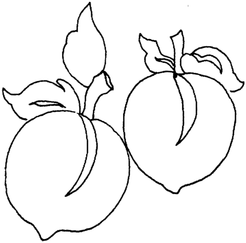 Peach Coloring Page