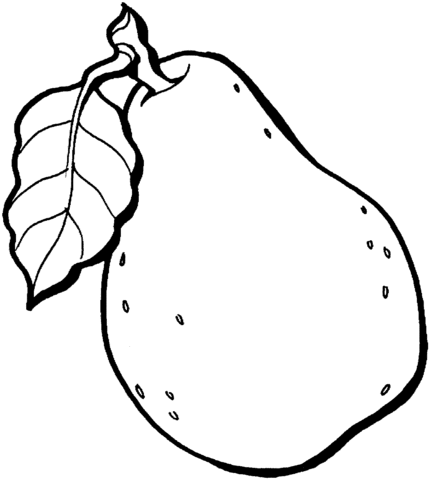 Pear Coloring Page