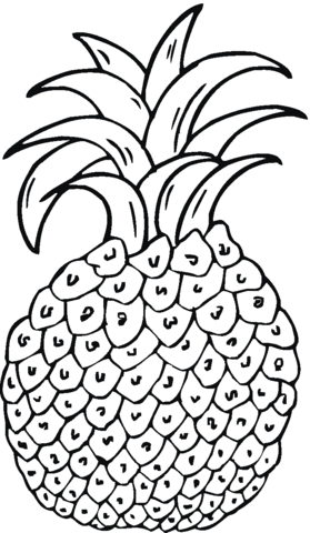 Pineapple Coloring Page