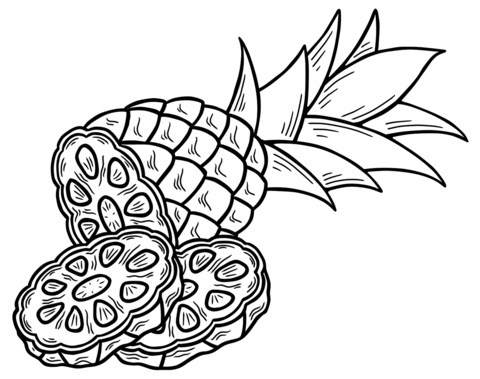 Pineapple Coloring Page