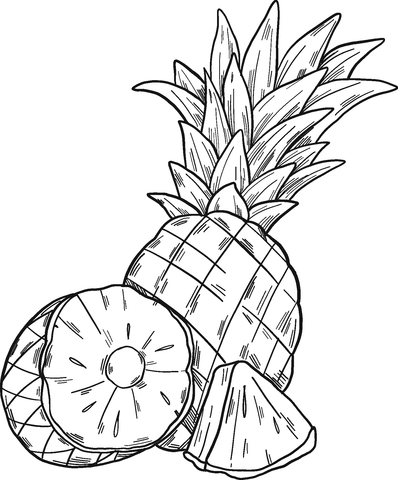 Pineapples Coloring Page