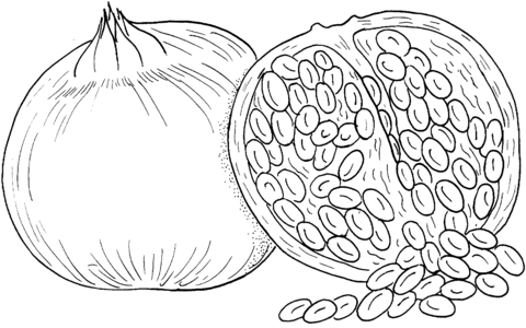 Pomegranate Coloring Page