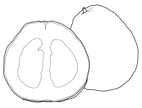 Pomelo Coloring Page