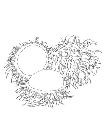 Rambutan Coloring Page