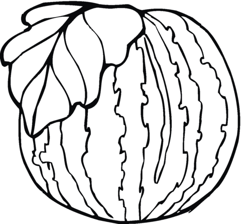 Watermelon Coloring Page