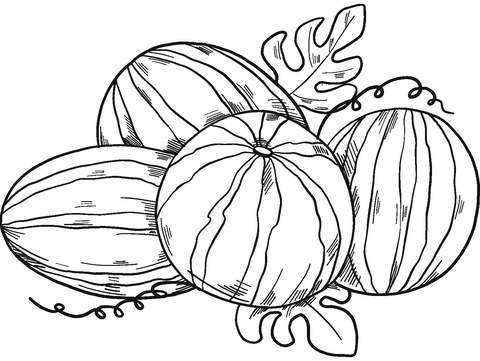 Watermelons Coloring Page