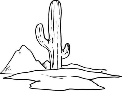 Cactus Coloring Page