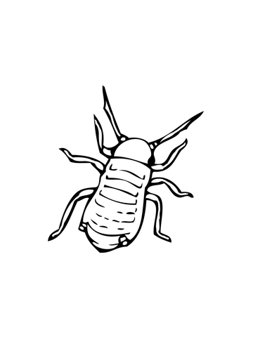 Aphid Coloring Page