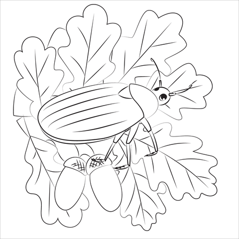 Bug Coloring Page