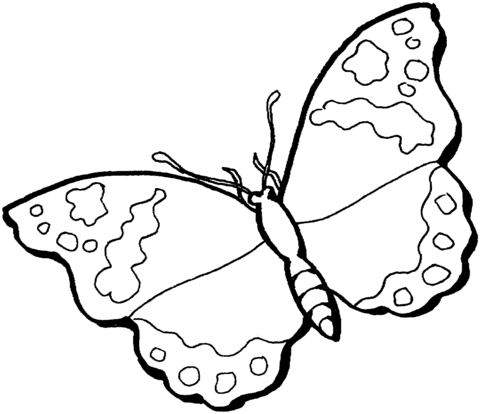 Butterfly Coloring Page