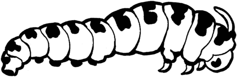 Caterpillar Coloring Page