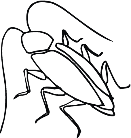 Cockroach Coloring Page