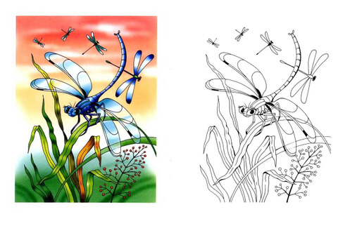 Dragonflies Coloring Page