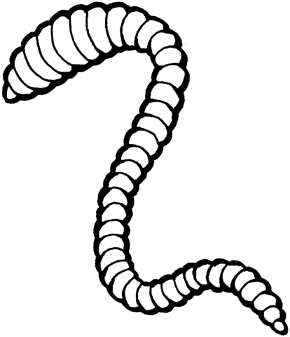 Earthworm Coloring Page