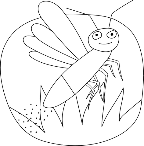 Firefly Coloring Page