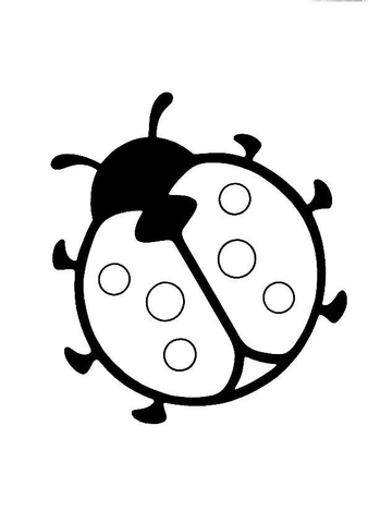 Ladybird Coloring Page