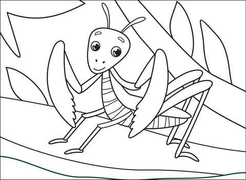 Mantis Coloring Page