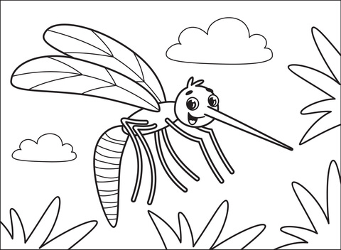 Mosquito Coloring Page