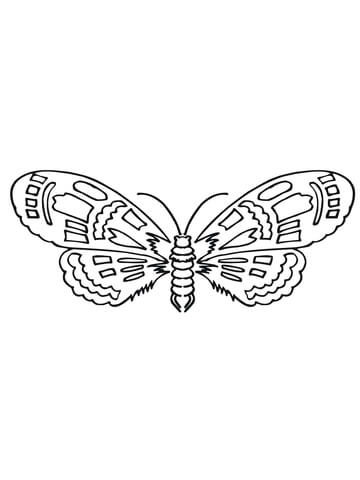 Moth Coloring Page