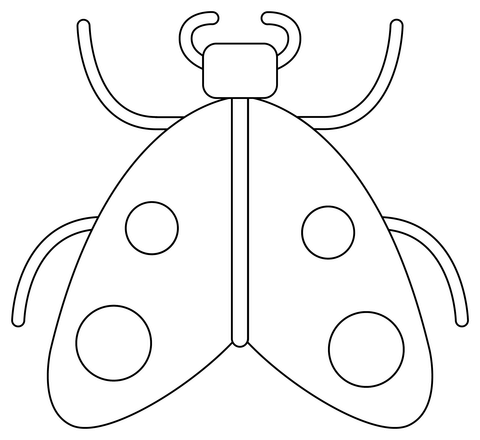 Moth Coloring Page