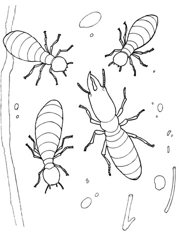 Termites Coloring Page