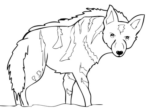 Aardwolf Coloring Page