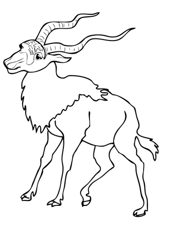 Addax Coloring Page