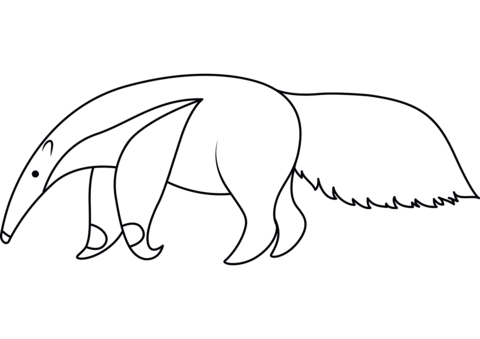 Anteater Coloring Page