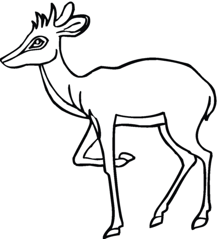 Antelope Coloring Page