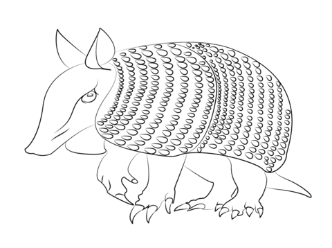 Armadilo Coloring Page