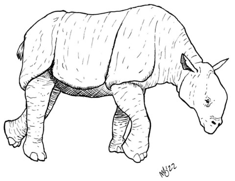 Baluchitherium Coloring Page