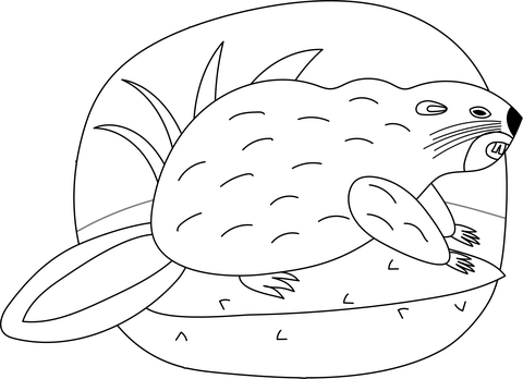 Beaver Coloring Page