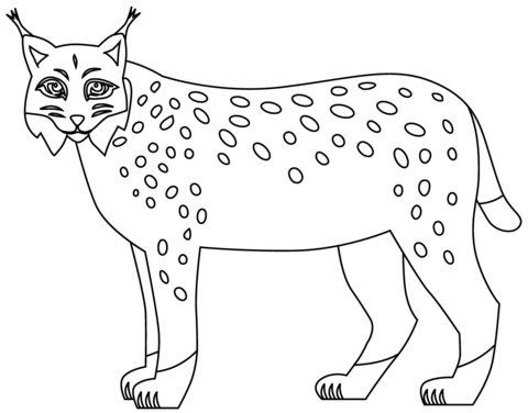 Bobcat Coloring Page