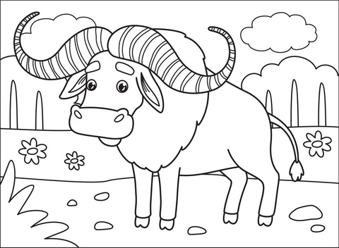 Buffalo Coloring Page