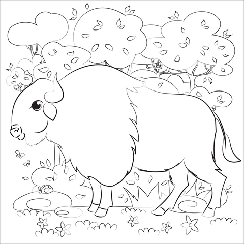 Buffalo Coloring Page