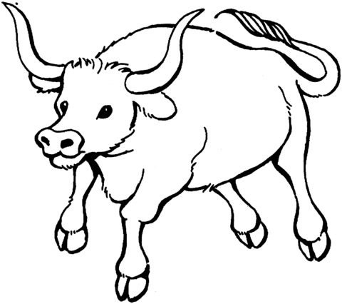 Bull Coloring Page