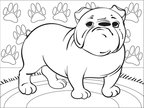 Bulldog Coloring Page