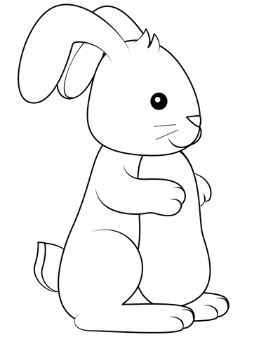 Bunny Coloring Page