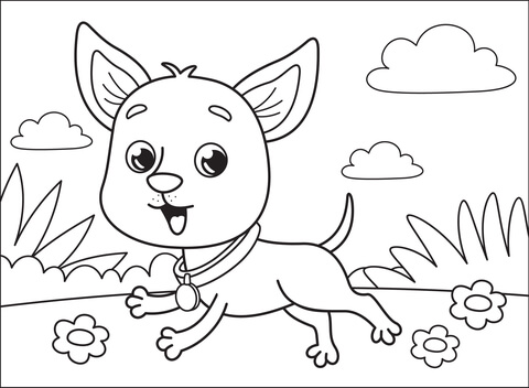 Chihuahua Coloring Page