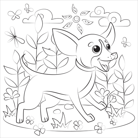 Chihuahua Coloring Page