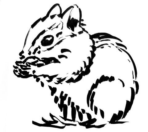 Chipmunk Coloring Page