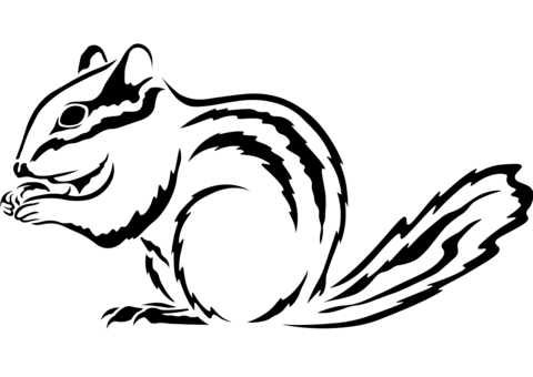 Chipmunk Coloring Page